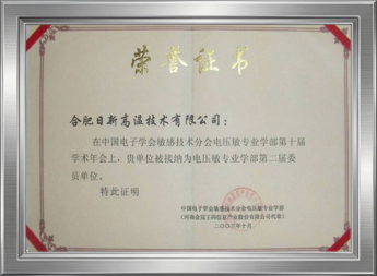 中国电压敏学会委员单位证书